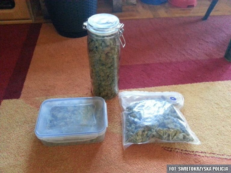 Przejęli blisko pół kilograma marihuany