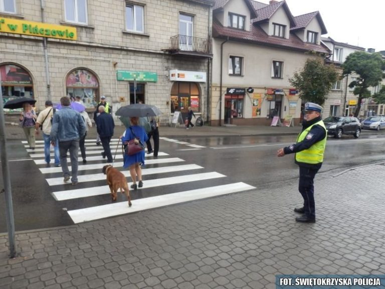 Uczymy kierowców i pieszych dobrych praktyk na przejściach dla pieszych