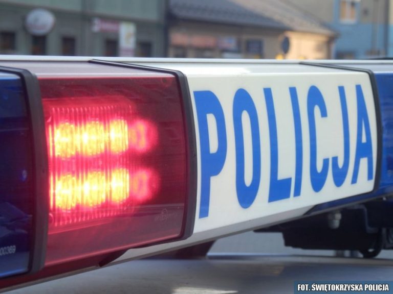 Z wiatrówki zastrzelił psa, odpowie za jego uśmiercenie