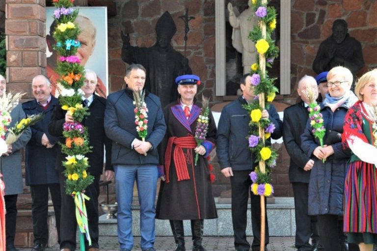 Imponujące palmy w Tumlinie