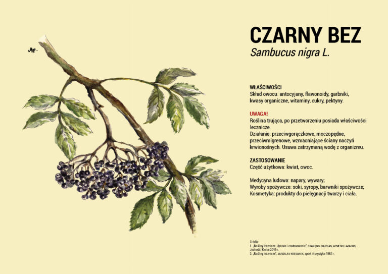Przyrodnicza ścieżka edukacyjna
