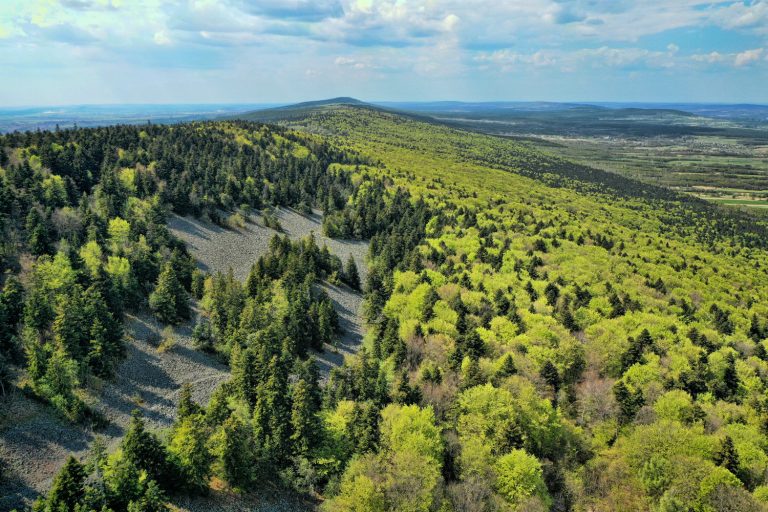Na majówkę, na majówkę – zapraszamy do regionu