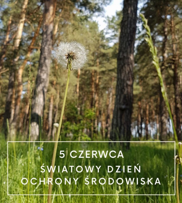 5 czerwca – Światowy Dzień Ochrony Środowiska
