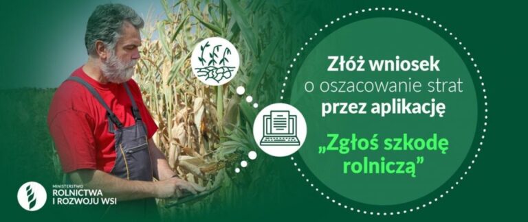 Zgłoś szkodę rolniczą w&nbsp;aplikacji!