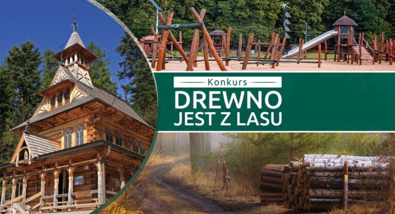 Drewno jest z lasu – konkurs Lasów Państwowych
