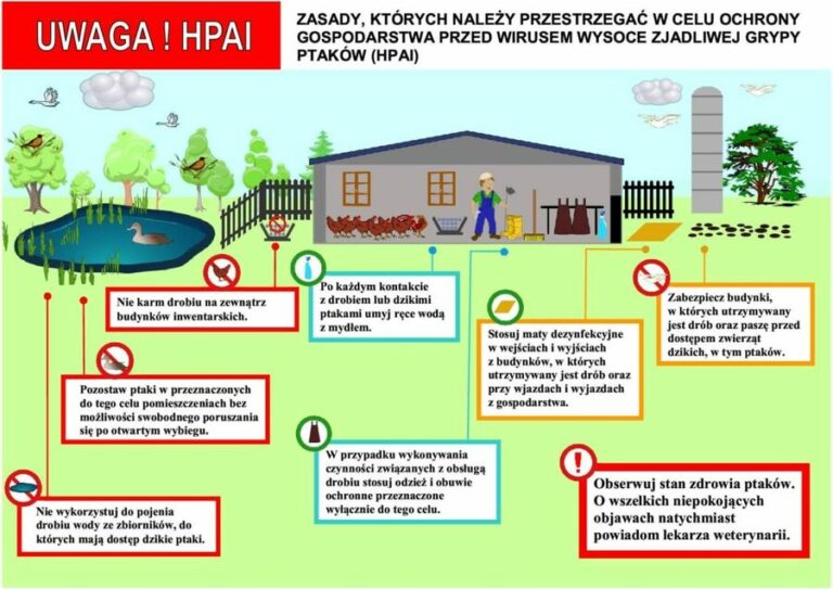 Komunikat Świętokrzyskiego Wojewódzkiego Lekarza Weterynarii