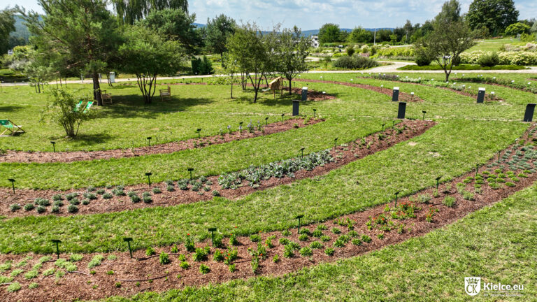 Nowe rabaty w Ogrodzie Botanicznym w Kielcach z młodymi roślinami i ścieżkami