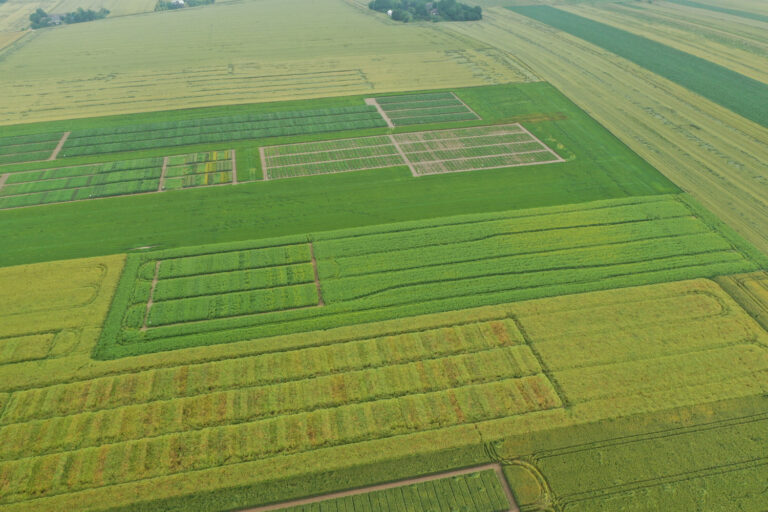 Lista odmian gatunków roślin zalecanych do uprawy w Województwie Świętokrzyskim