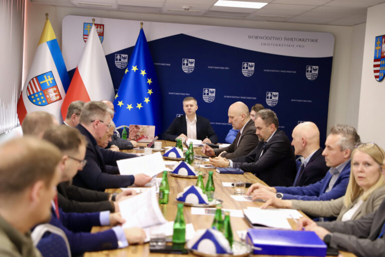 Posiedzenie Komisji Strategii Rozwoju, Promocji i Współpracy z Zagranicą