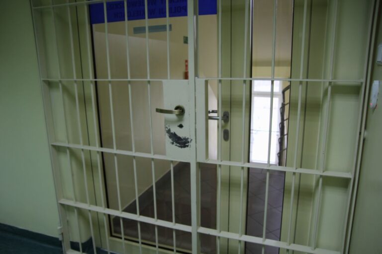 Zatrzymali sprawcę przemocy domowej, odpowie również za znieważenie policjantów