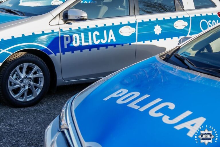 Odpowie za ograbienie grobu