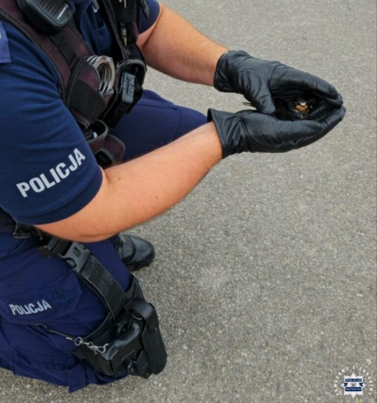 Funkcjonariusze z Komisariatu Policji w Ćmielowie pomogli rannej jaskółce