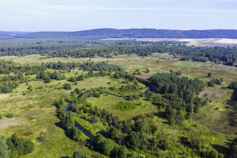 Cykl fotografii ˝Nasza urokliwa Mała Ojczyzna˝ – Meandrująca rzeka Biała Nida