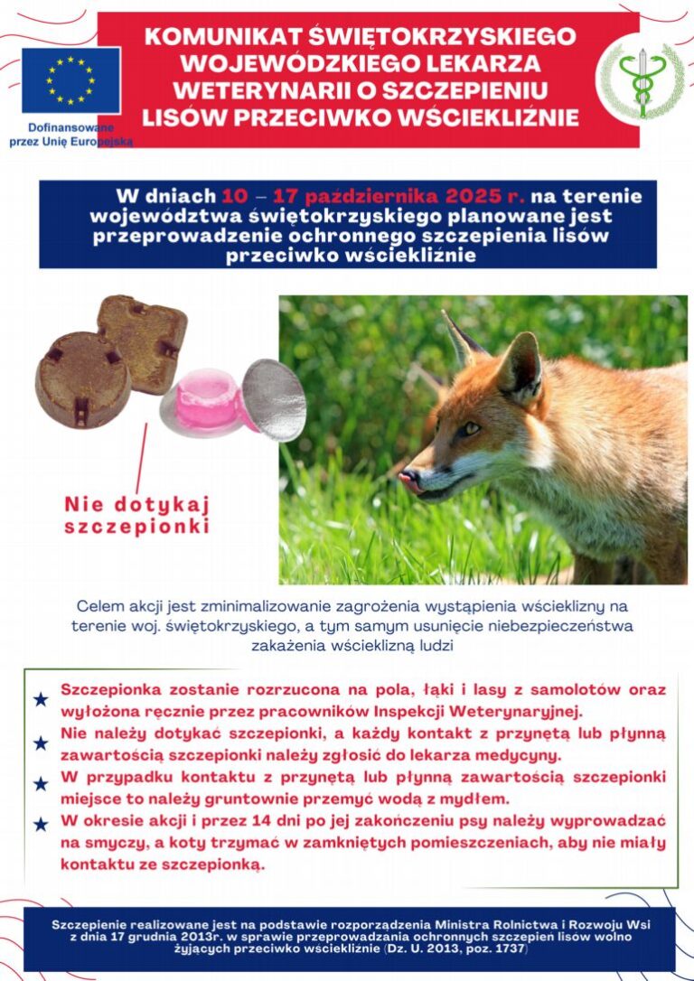 Kominikat Świętokrzyskiego Wojewódzkiego Lekarza Weterynarii o szczepieniu lisów przeciwko wściekliźnie