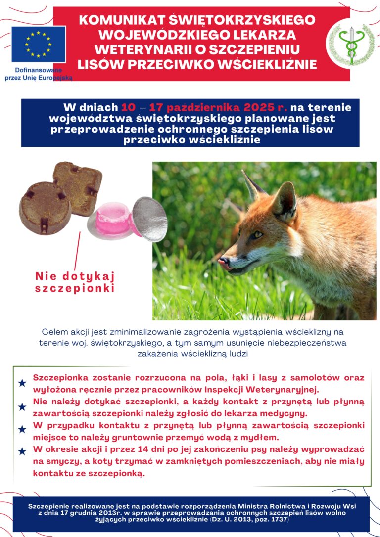 Komunikat Świętokrzyskiego Wojewódzkiego Lekarza Weterynarii o szczepieniu lisów przeciwko wściekliźnie