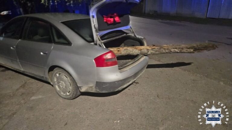Wyprawa na grzyby, kolizja, ucieczka