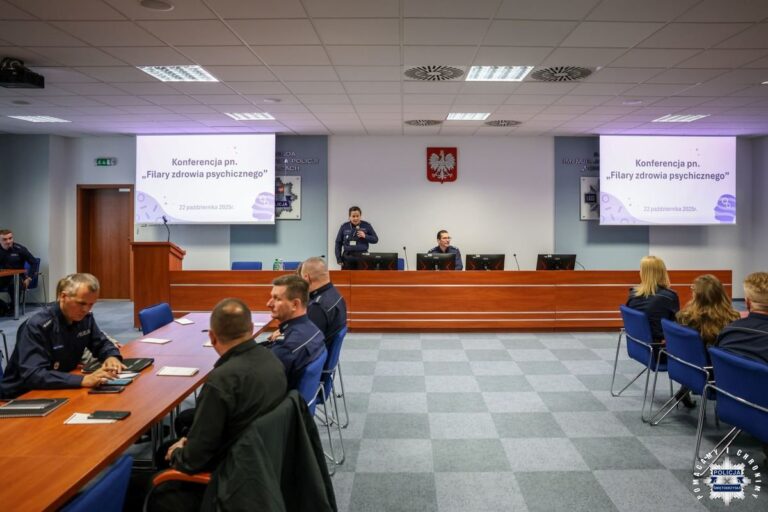 Filary zdrowia psychicznego w służbie