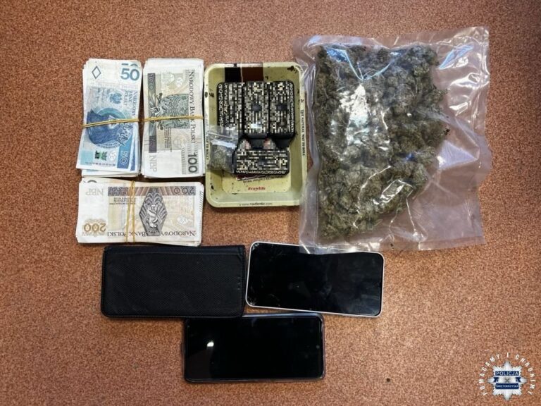 Nieletni zatrzymani z narkotykami i dużą ilością gotówki