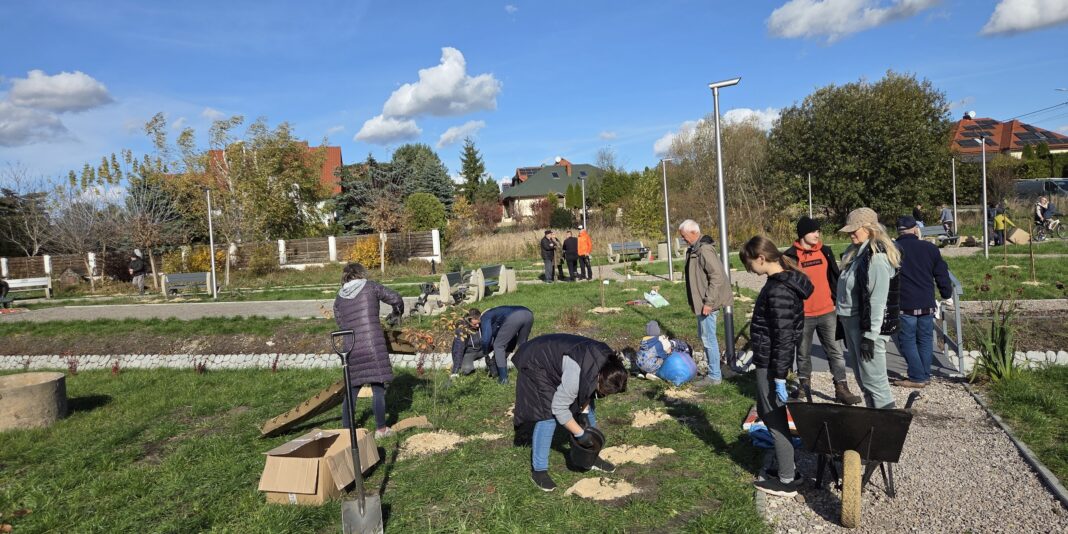 Mieszkańcy Piasecznej Górki tworzą zieloną przestrzeń – powstał mini-park przy ul. Sportowej