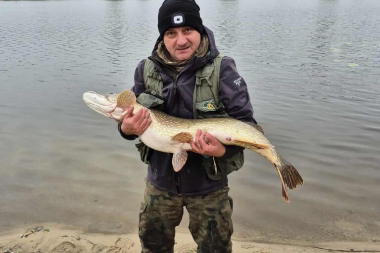Rekordowy szczupak nad zalewem w Morawicy!