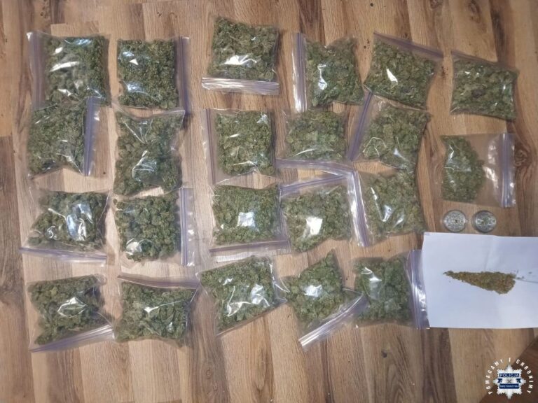 Buscy kryminalni przejęli blisko 11 kilogramów marihuany i ziela konopi indyjskich