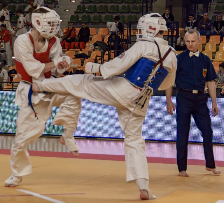 Klub Karate Morawica i Piekoszów rywalizował na Klubowym Pucharze Europy w Kielcach