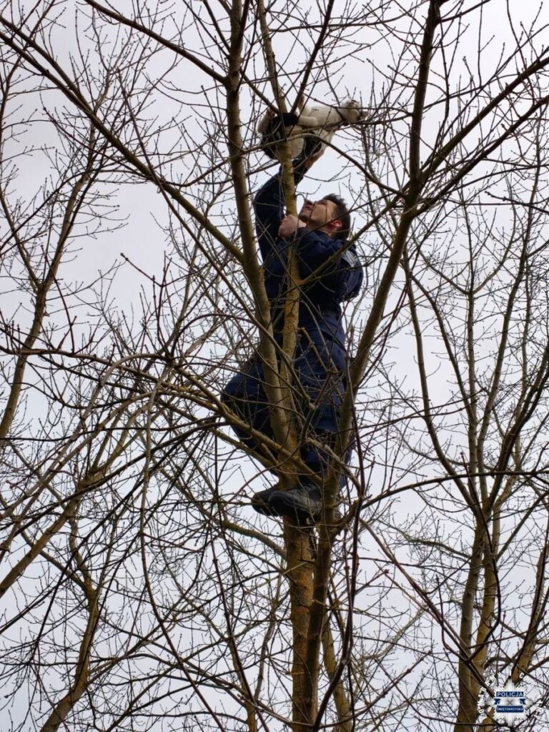 Podziękowania dla policjantów z Kunowa