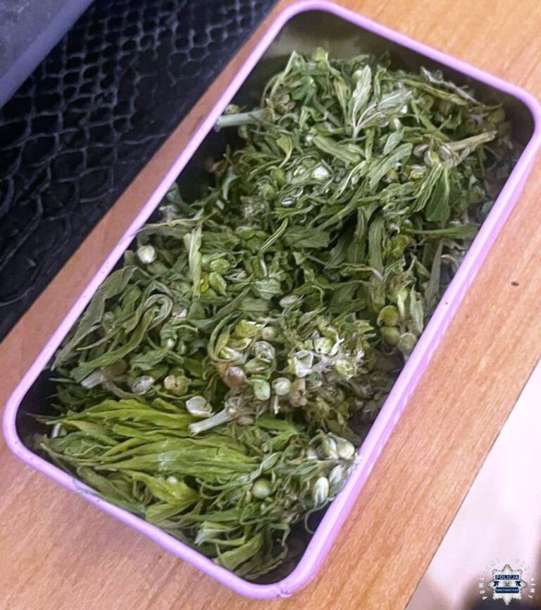 Narkotykowe zainteresowania pary 18-latów