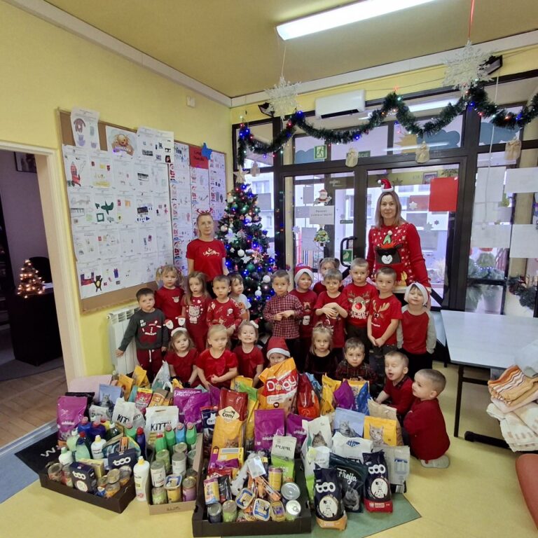 Mikołajkowa Paka dla Zwierzaka