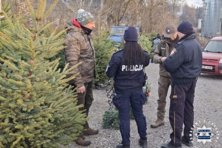 Świąteczne stroiki w zgodzie z przyrodą – służby na targowisku miejskim w Opatowie
