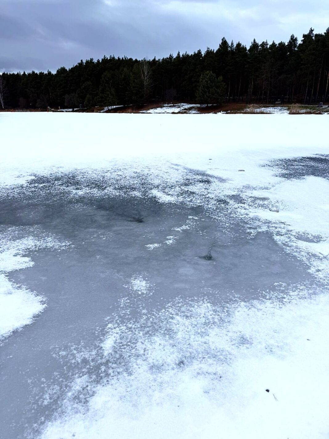 Zamarznięte jezioro pokryte śniegiem, w tle las