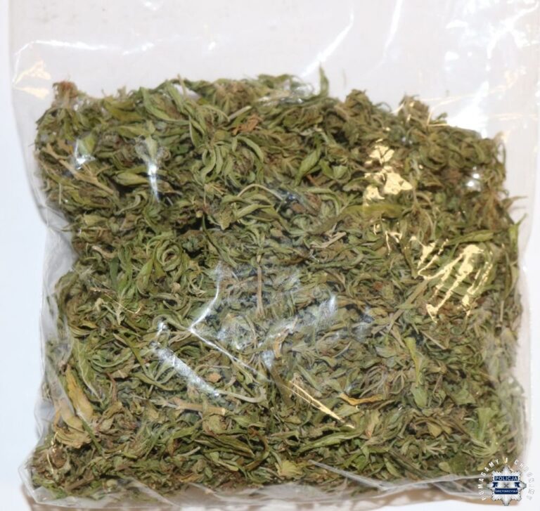 Poszukiwany ze znaczną ilością narkotyków