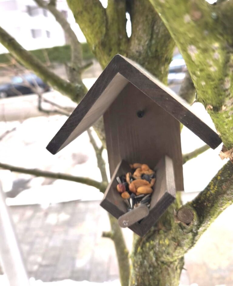 Ornitolodzy z Powiatowego Zespołu Szkół w Łopusznie dokarmiają ptaki