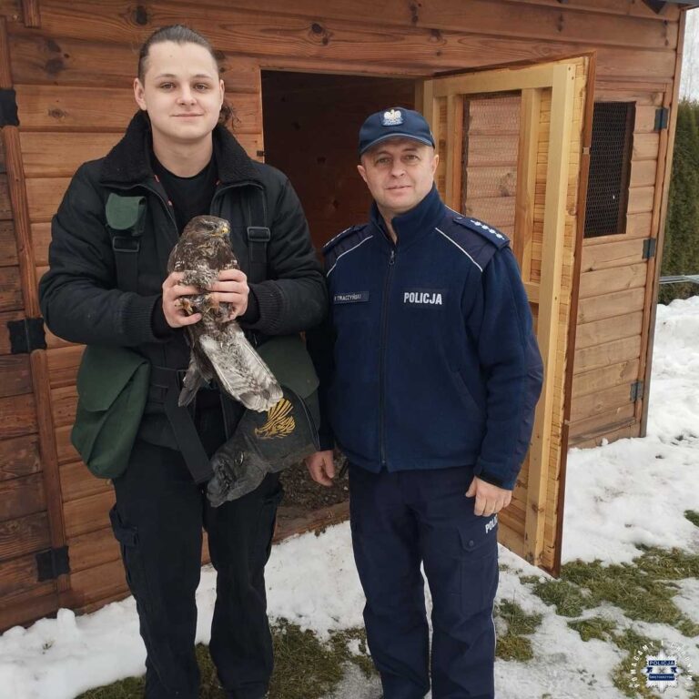 Myszołów uratowany! Udana współpraca z dzielnicowymi