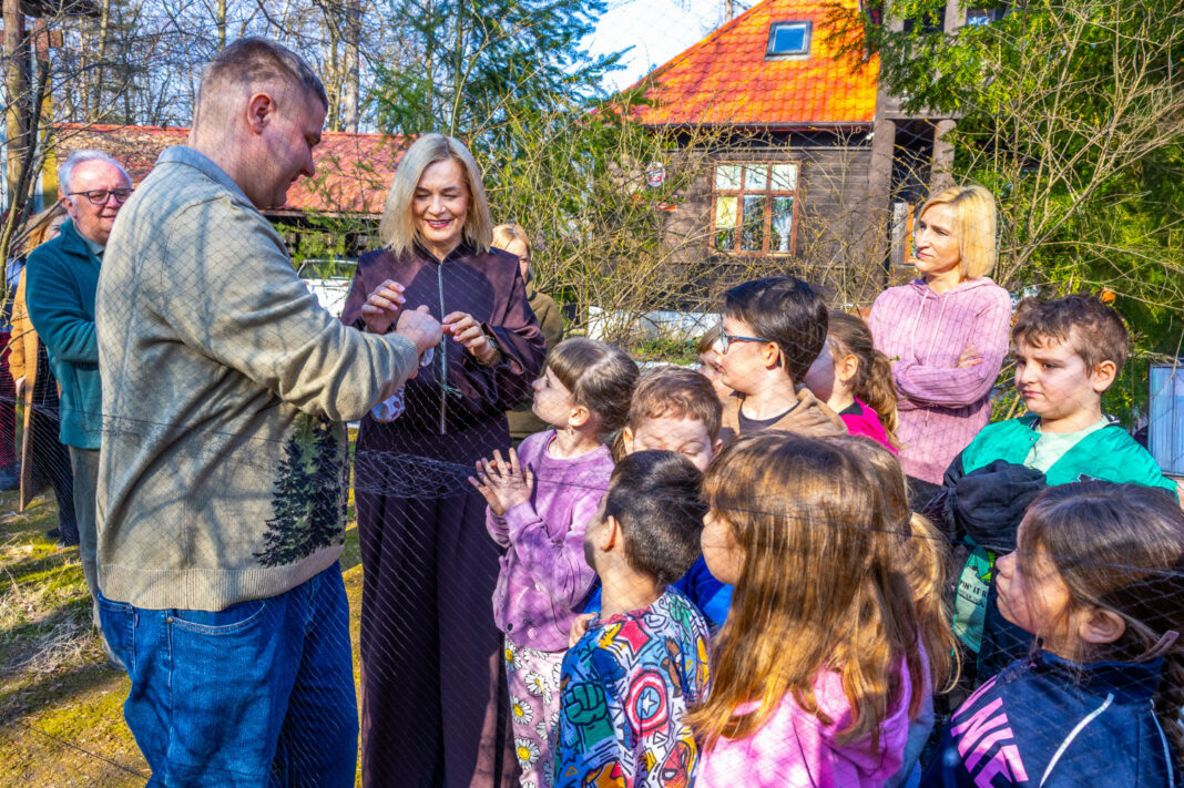 Grupa dzieci obserwująca obrączkowanie ptaków na świeżym powietrzu