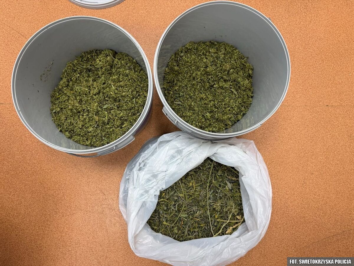 Zabezpieczyli narkotyki warte blisko 120 tysięcy złotych