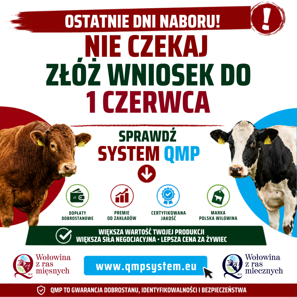 Ekoschemat ˝Dobrostan zwierząt˝. Dodatkowe pieniądze dla hodowców z QMP – tylko do 1 czerwca!
